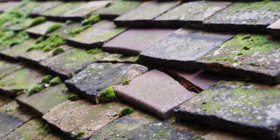Great Chesterford roof repair costs